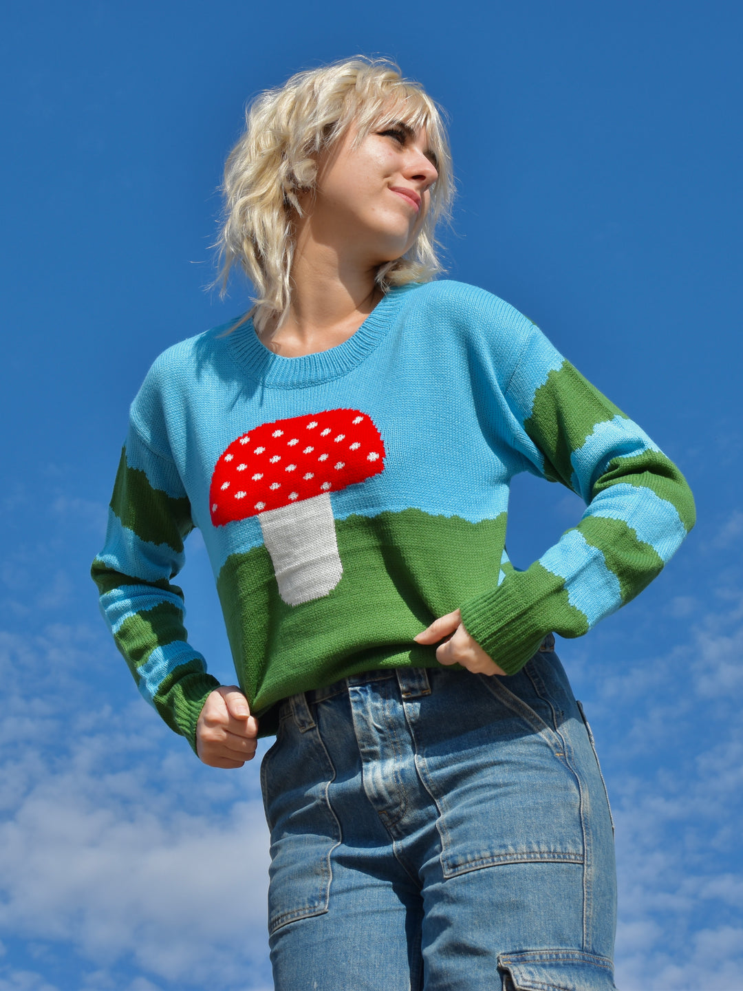 Mushroom Sweater
