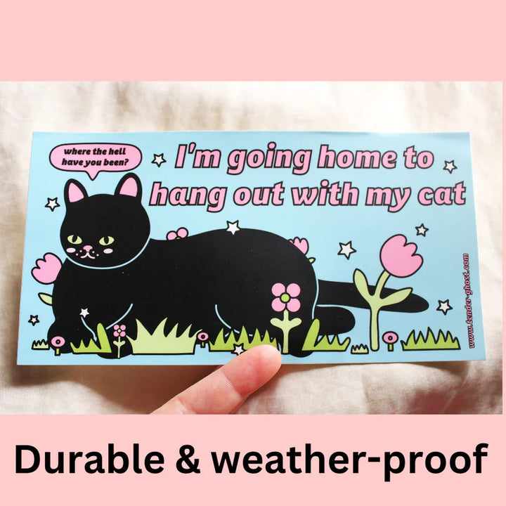 Hang Out With My Cat Bumper Sticker